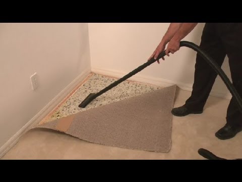 Damp-or-water-damaged-carpet-padding