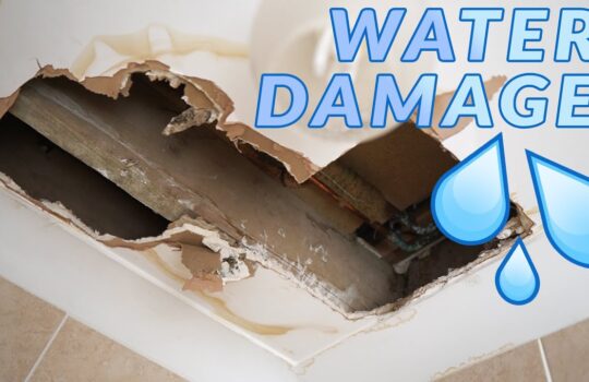 Damp-or-water-damaged-ceiling-beams