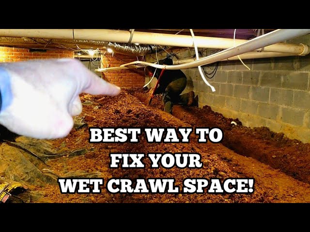 Damp-or-water-damaged-crawl-space