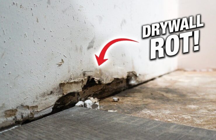 Damp-or-water-damaged-drywall
