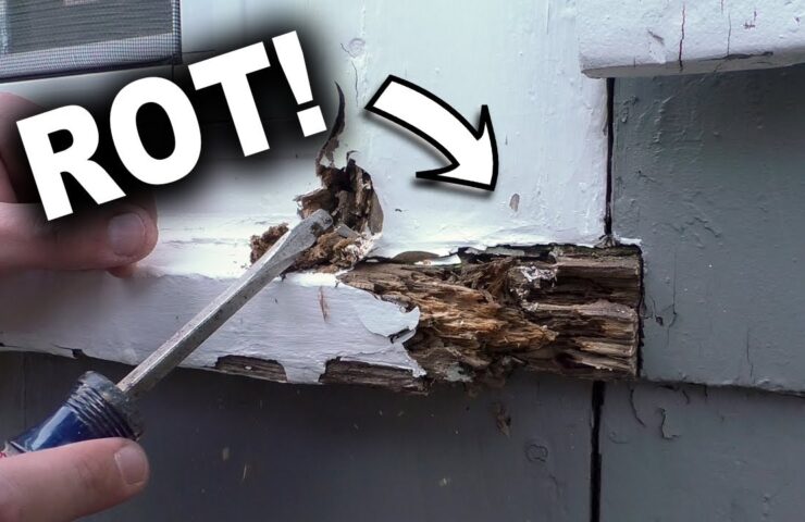 Damp-or-water-damaged-window-frames