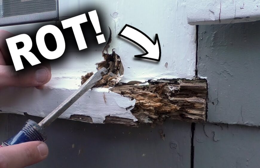 Damp-or-water-damaged-window-frames