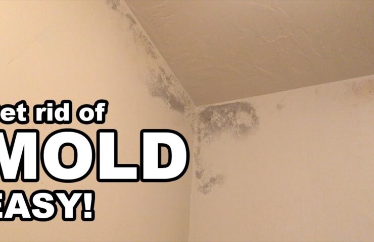 Mold-or-mildew-in-the-bathroom