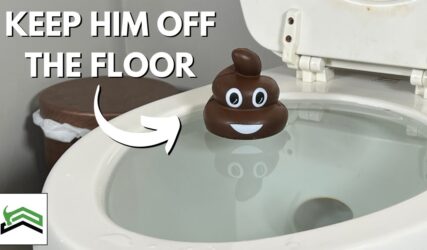 Clogged-or-overflowing-toilet